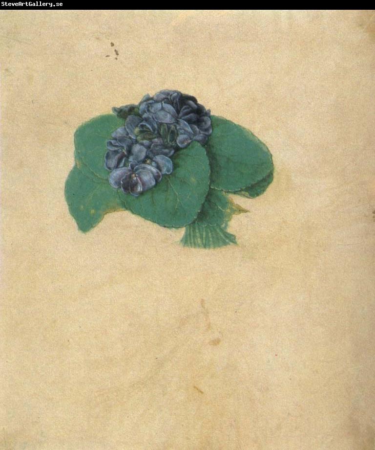 Albrecht Durer A Nosegay of Violets